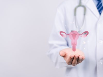 Doctor,In,A,White,Coat,Holding,Virtual,Uterus,Reproductive,System