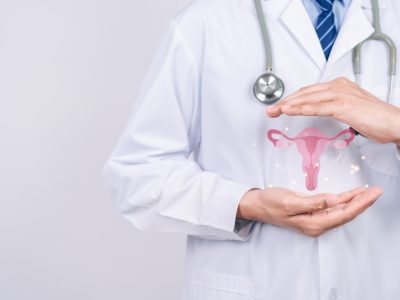 Doctor,In,A,White,Coat,Holding,Virtual,Uterus,Reproductive,System